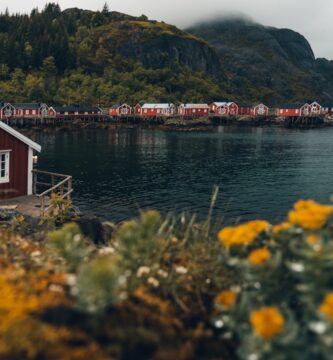 Sjømatens Verden: En Dypdykk i Norges Rike Havressurser