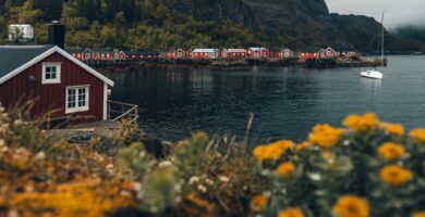Sjømatens Verden: En Dypdykk i Norges Rike Havressurser