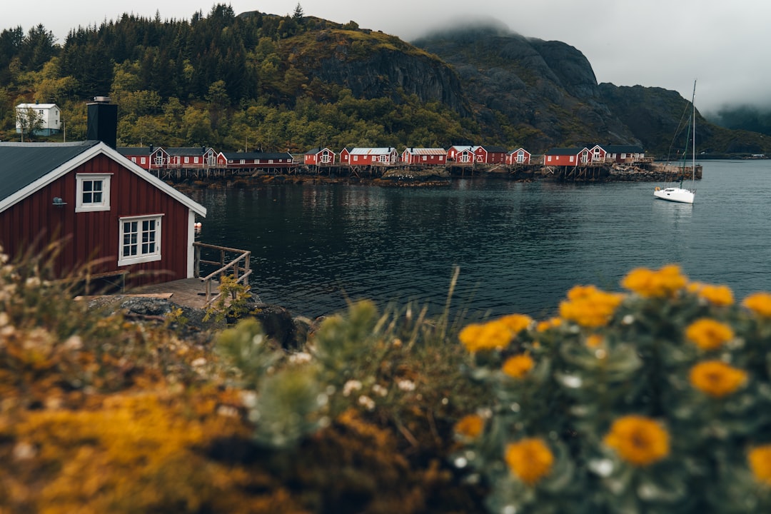 Sjømatens Verden: En Dypdykk i Norges Rike Havressurser